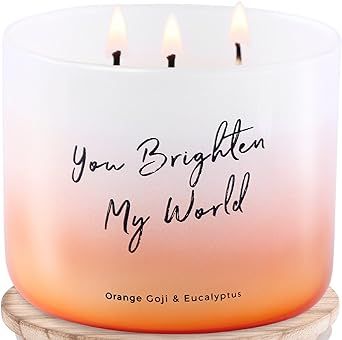 Orange Goji Eucalyptus 3-Wick Stress Relief Fall Candles - Autumn Scented Aromatherapy Energy Soy Candles for Home 15.8 oz - You Brighten My World Quotes Candles for Men & Women - Work Candles