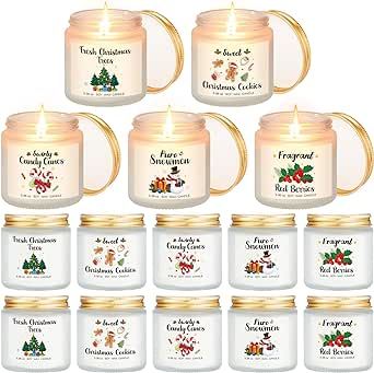 Demissle 15 Pack Christmas Scented Candles Gift Set Aromatherapy Candle for Home Scented Fresh Xmas Fragrance Winter Holiday Natural Soy Wax Aromatherapy Centerpiece Decoration for Mom Friend Wife Her